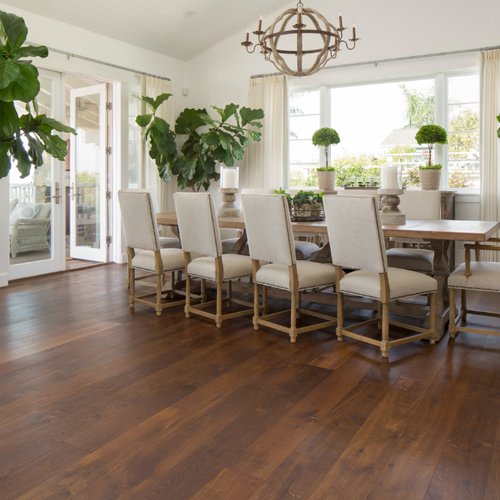 Dining room with plants and dark wood flooring