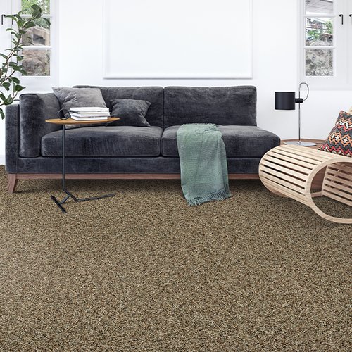 Durable carpet floors in Solana Beach CA