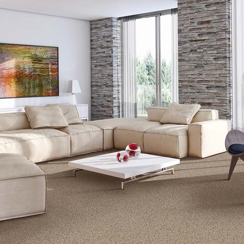 Brown carpet flooring in Solana Beach CA